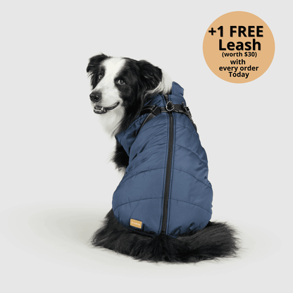 3-in-1 Dog Winter Jacket with Built-In Harness