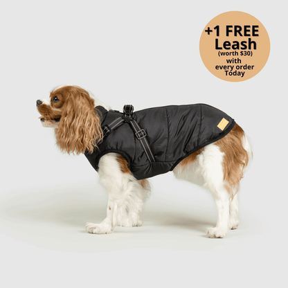 3-in-1 Dog Winter Jacket with Built-In Harness