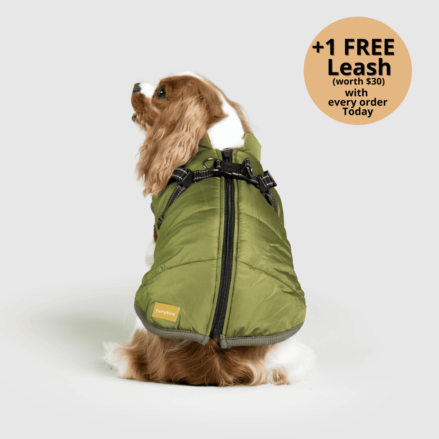 3-in-1 Dog Winter Jacket with Built-In Harness