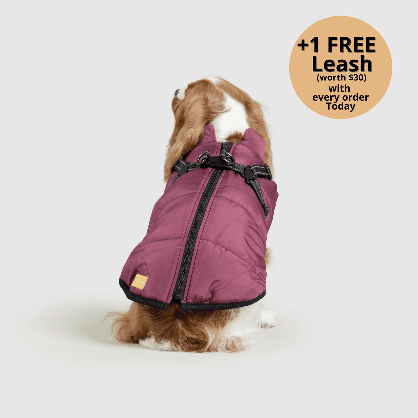 3-in-1 Dog Winter Jacket with Built-In Harness