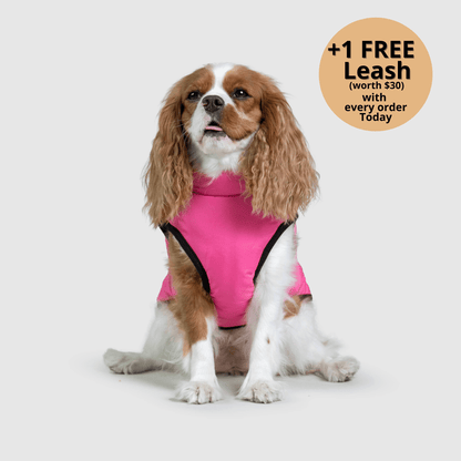 3-in-1 Dog Winter Jacket with Built-In Harness