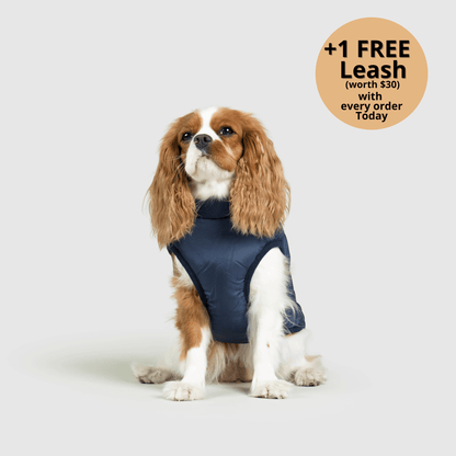 3-in-1 Dog Winter Jacket with Built-In Harness