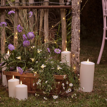 Bee LED Solar Fairy Lights - 20 Lights