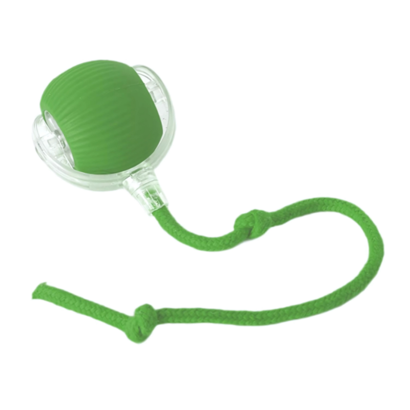 Interactive Cat Toy Chase Play Exercise Toy