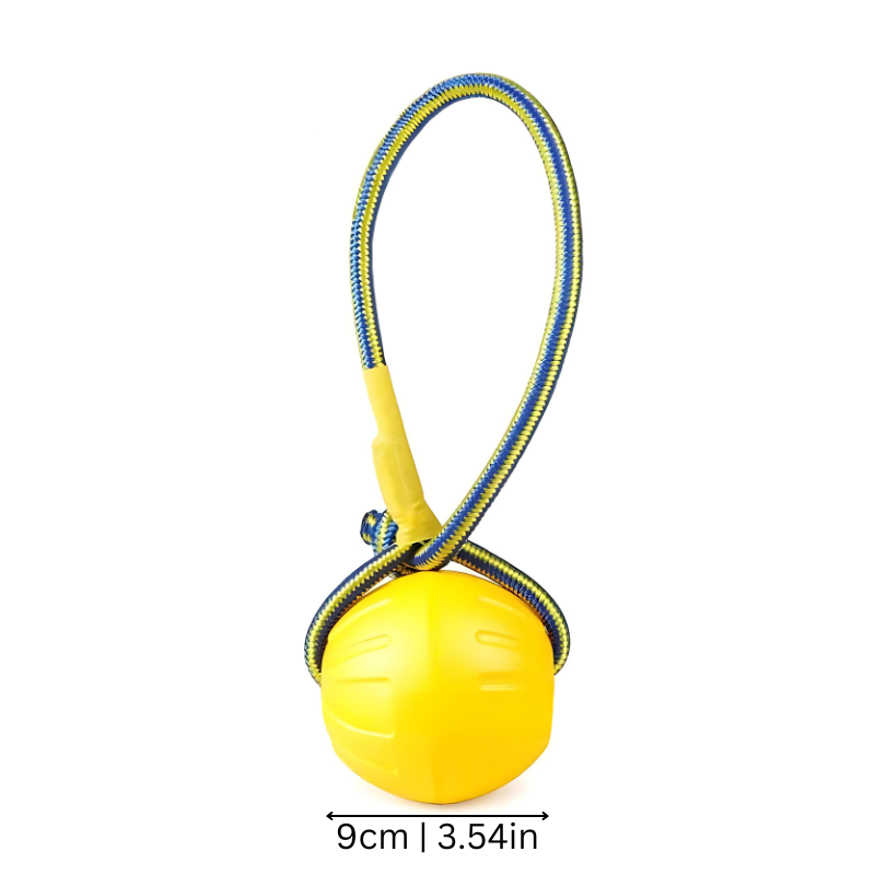 Dog Frisbee Toy - Floating Outdoor Fetch Disc