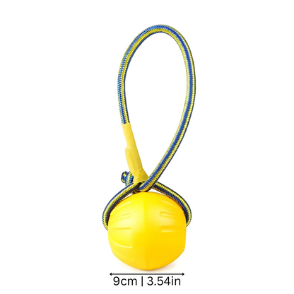 Dog Frisbee Toy - Floating Outdoor Fetch Disc