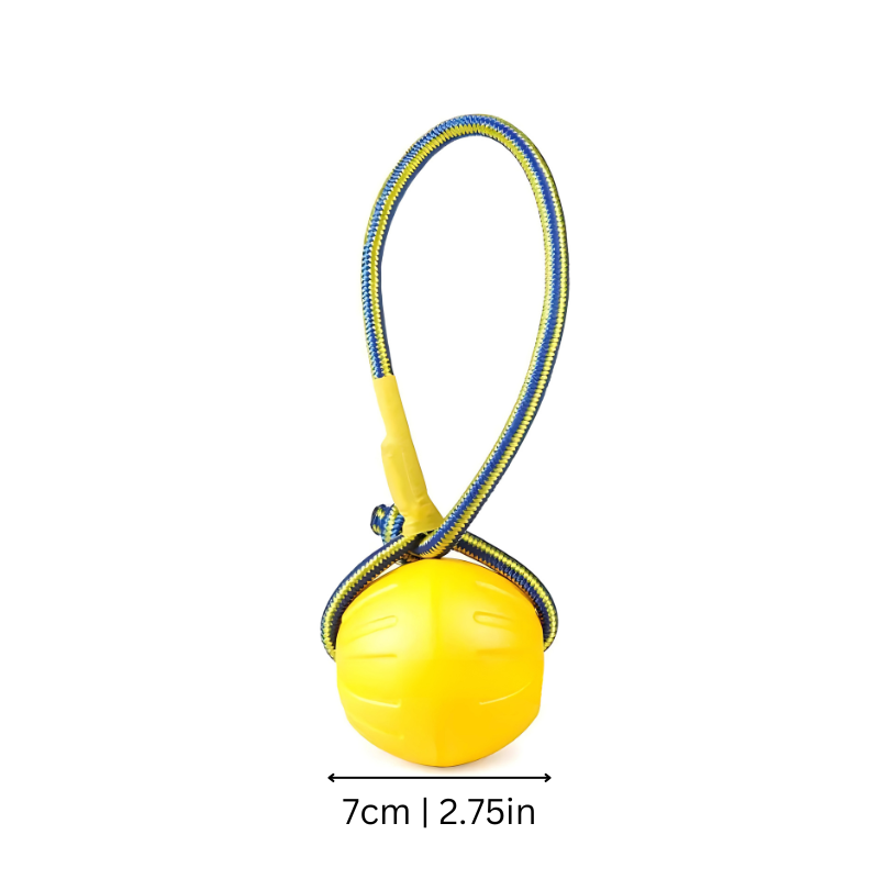 Dog Frisbee Toy - Floating Outdoor Fetch Disc