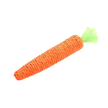Carrot Cat Toy Interactive Kitten Chew Toy