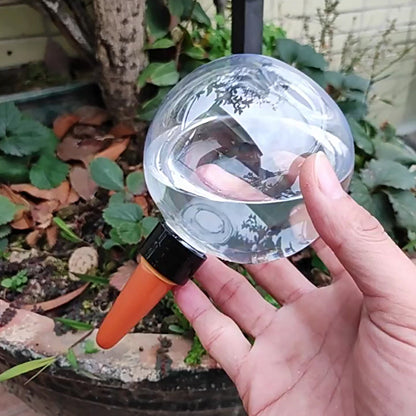 500ML Self-Watering Plant Bulbs – Automatic Water Globes