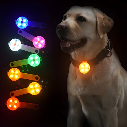 Waterproof LED Pet Safety Light - Clip-On Collar