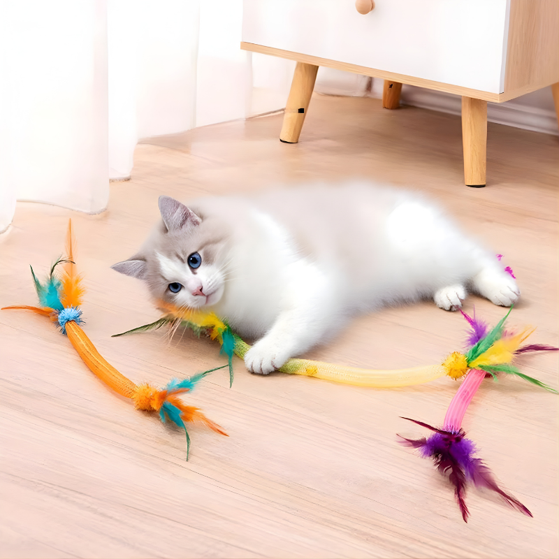 Interactive Cat Toy Ball - Bell & Feather Toy