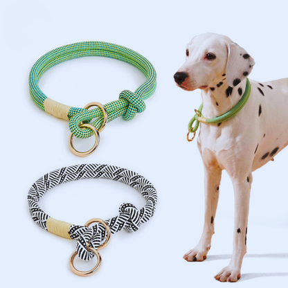 Adjustable Dog Collar - Heavy-Duty Training Collar