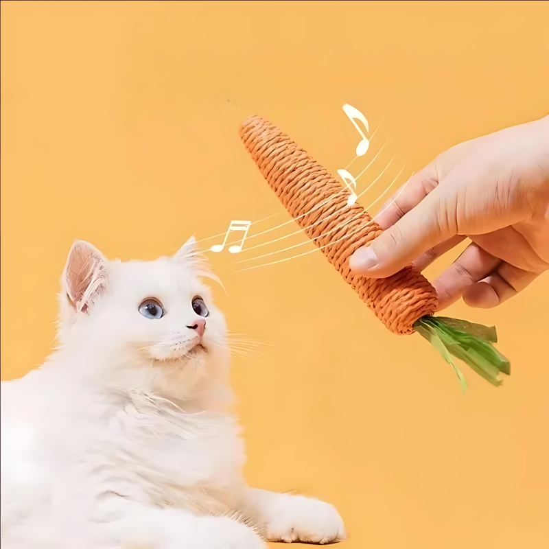 Carrot Cat Toy Interactive Kitten Chew Toy