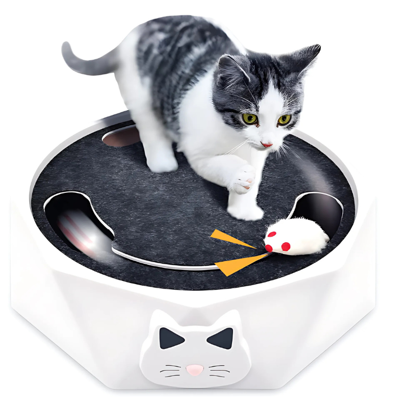 Interactive Cat Mouse Toy - Realistic Moving Toy