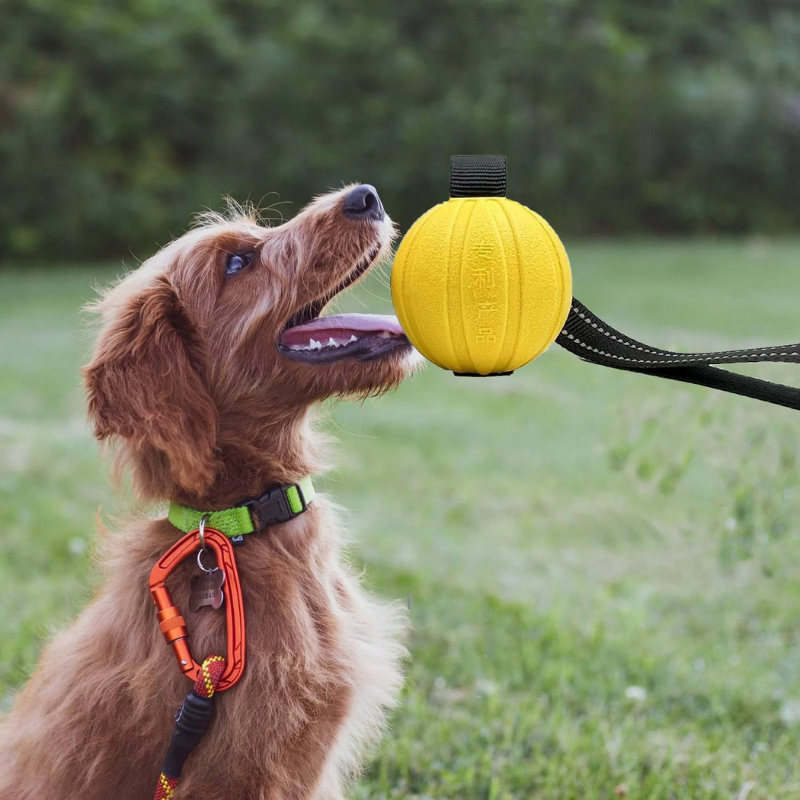 Rope Dog Toy Ball Tug Chew Training Toy