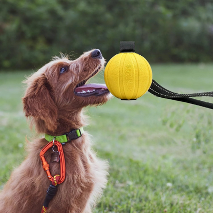 Rope Dog Toy Ball Tug Chew Training Toy