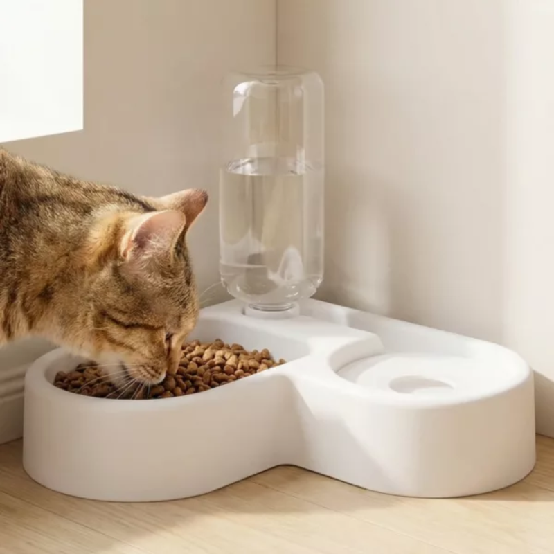 Double Pet Bowl Set - Food & Water Combo