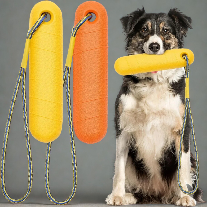 Floating Dog Toy - Water Fetch Training Toy