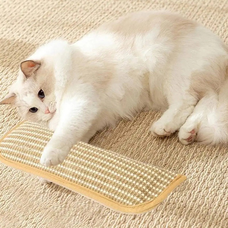 Catnip Plush Cat Toy Soft Scratch Chew Toy