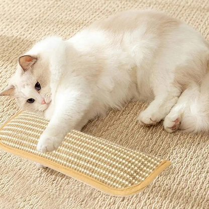 Catnip Plush Cat Toy Soft Scratch Chew Toy