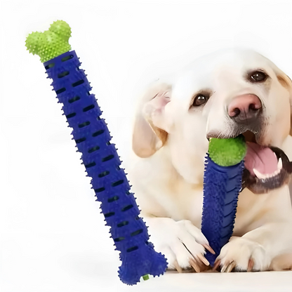 Durable Dog Chew Toy Dental Cleaning Toy