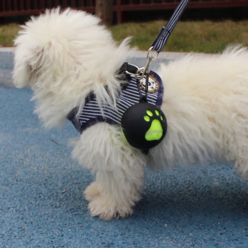Dog Ball Holder Clip - Hands-Free Leash Attachment