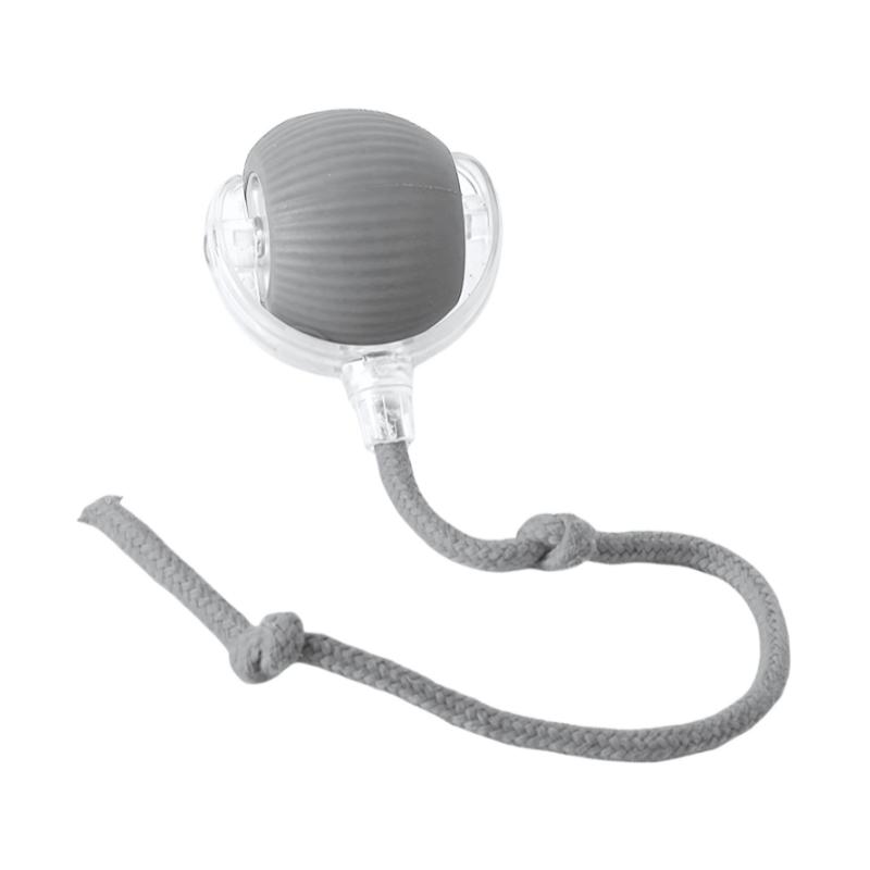 Interactive Cat Toy Chase Play Exercise Toy