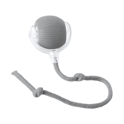 Interactive Cat Toy Chase Play Exercise Toy