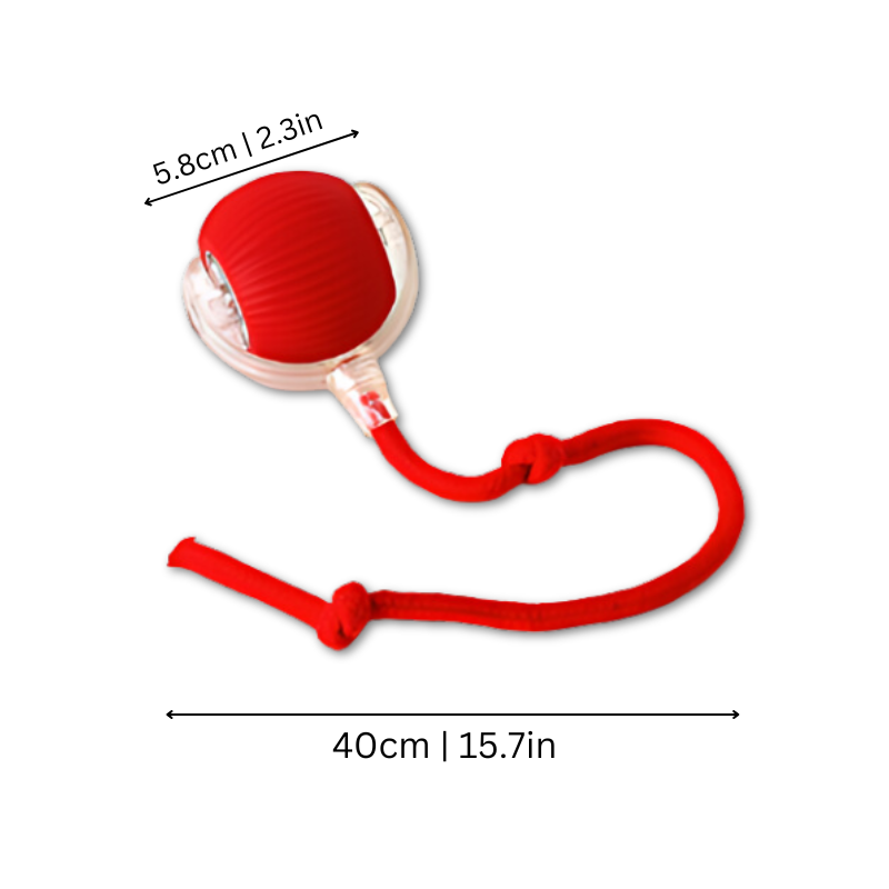 Interactive Cat Toy Chase Play Exercise Toy