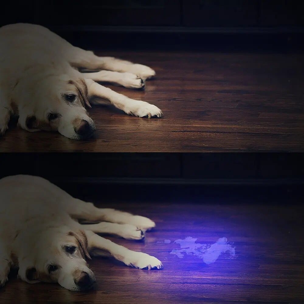 21-LED UV Blacklight Flashlight
