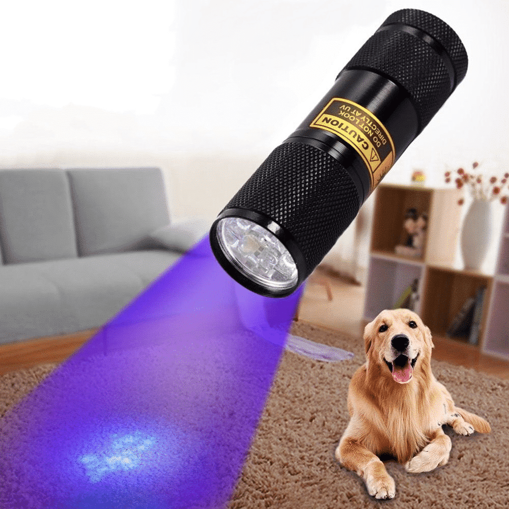 21-LED UV Blacklight Flashlight