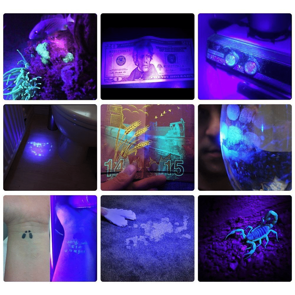 21-LED UV Blacklight Flashlight