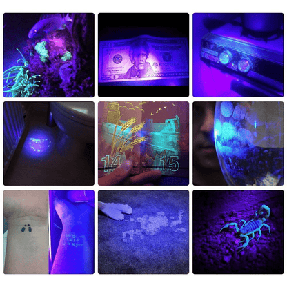 21-LED UV Blacklight Flashlight