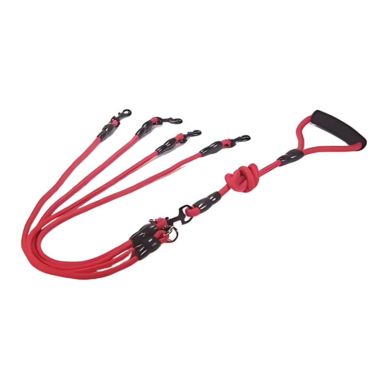Dual Dog Leash Handle - No-Tangle Walking Grip