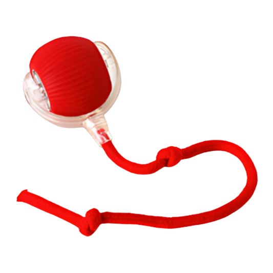 Interactive Dog Toy Active Play Training Toy