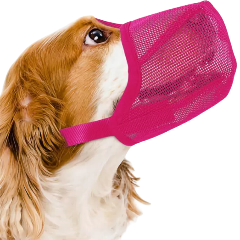 Breathable Dog Muzzle - Adjustable Anti-Bite Guard