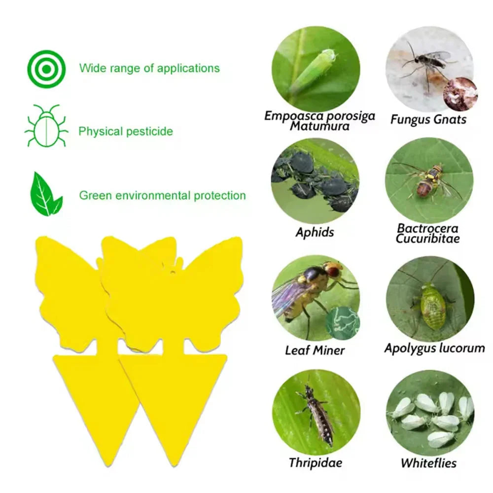 Yellow Sticky Traps Butterfly – 2 Shapes, cm