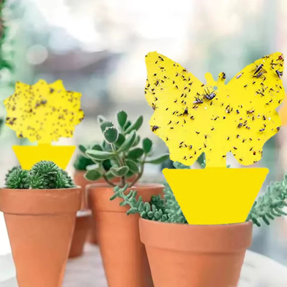 Yellow Sticky Traps Butterfly – 2 Shapes, cm