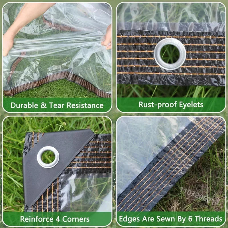 Clear Tarp Sheet
