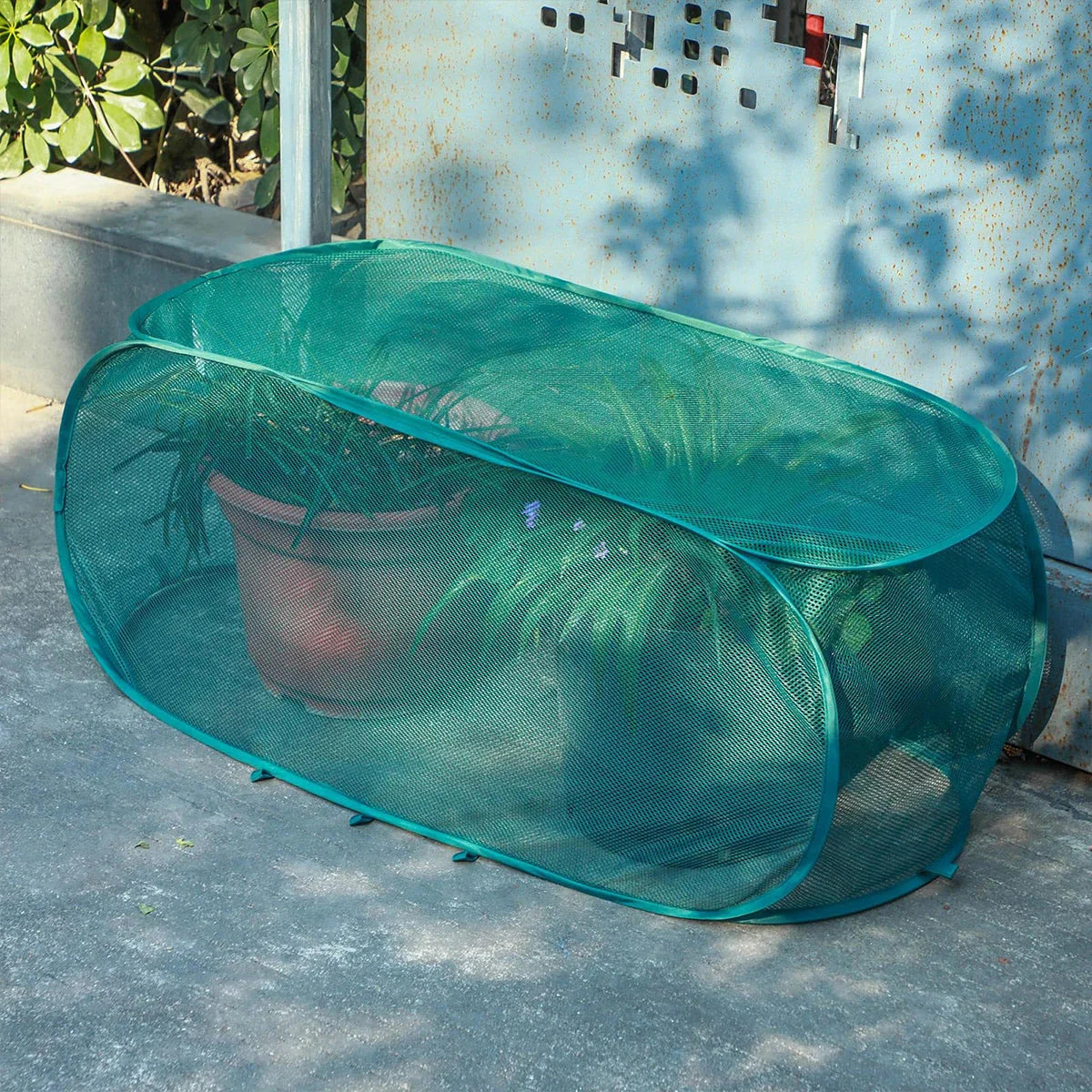 Pop-up foldable plant protection net for beds
