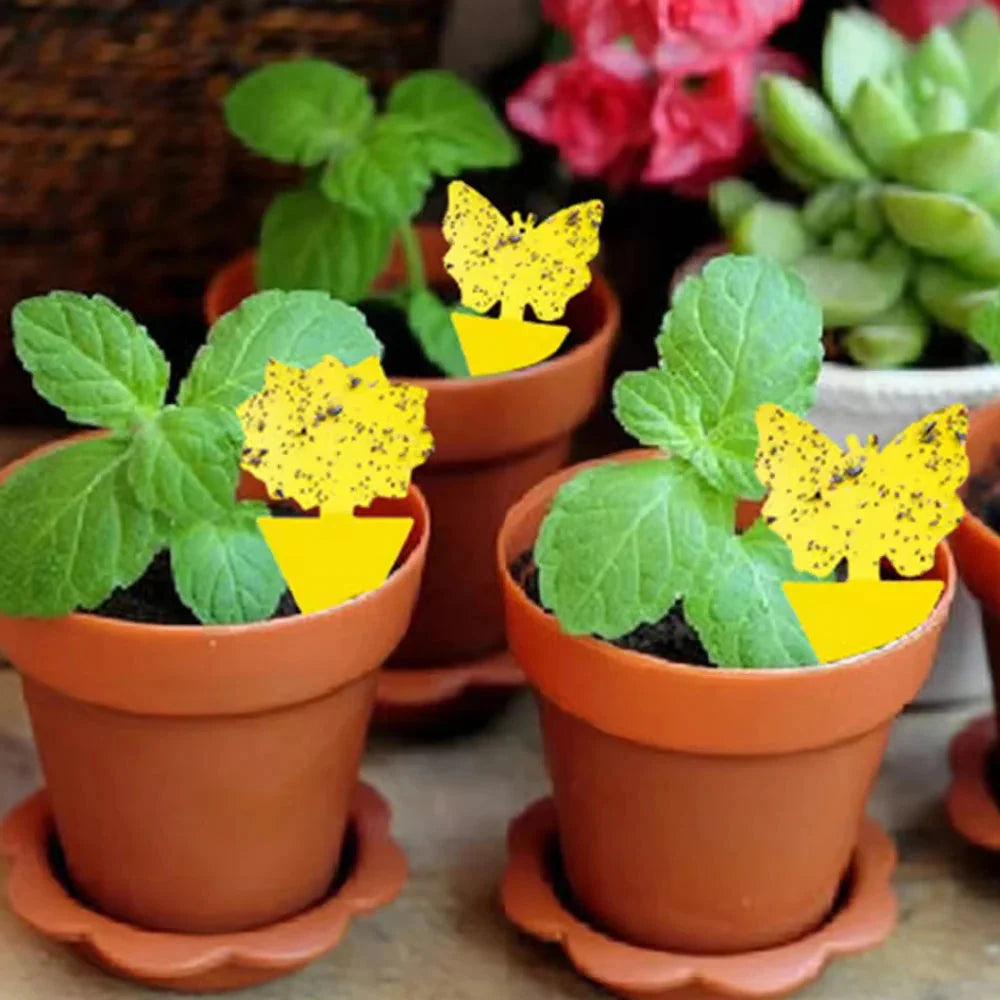 Yellow Sticky Traps Butterfly – 2 Shapes, cm