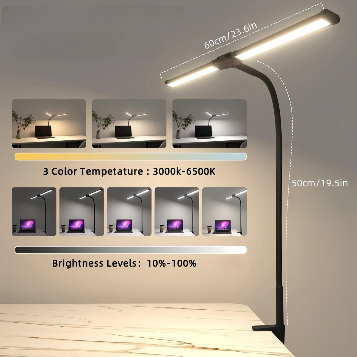 Dual LED Desk Lamp