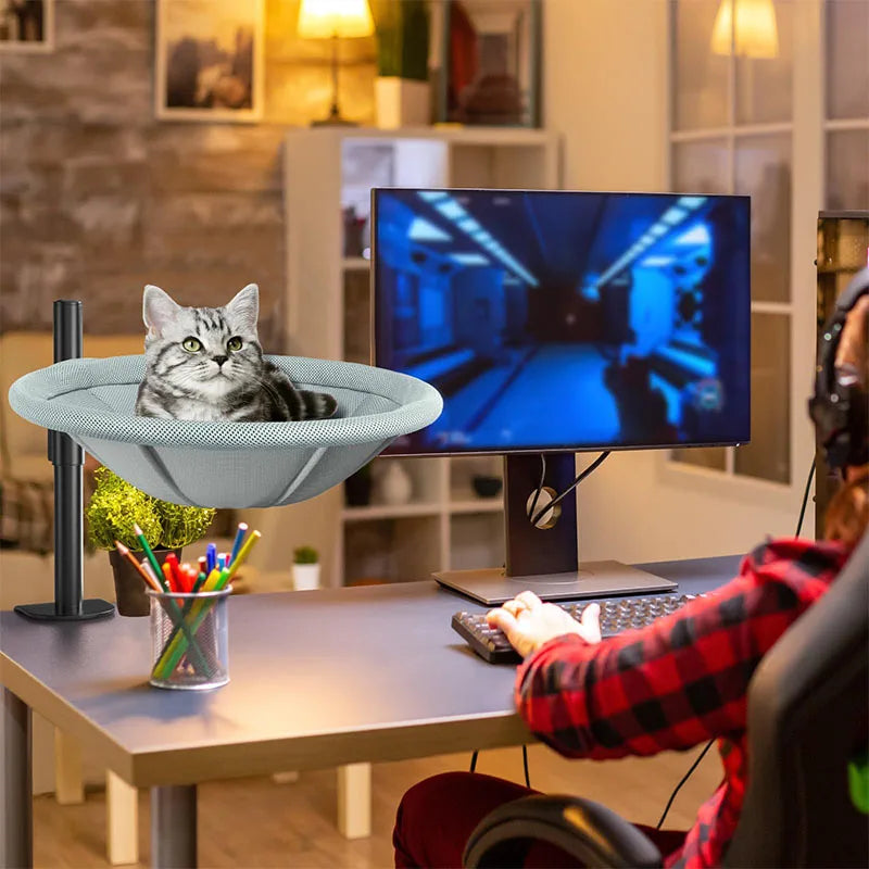 Rotating Cat Perch