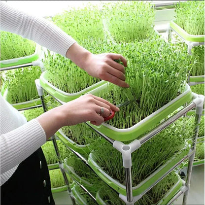 Germination Tray 2-Layer System for Microgreens and Sprouts