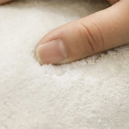 Plush Area Rug