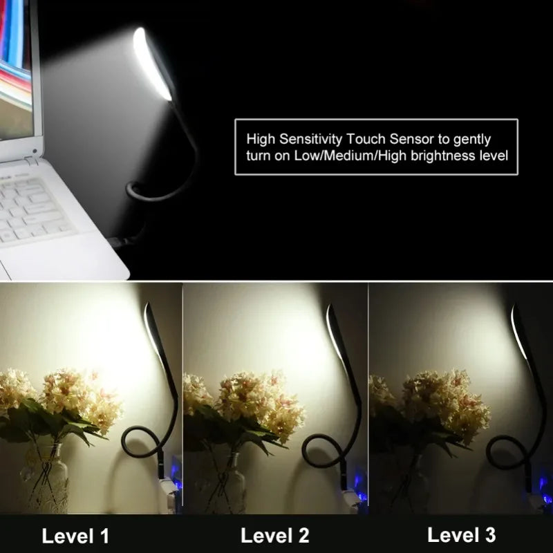 Mini USB Desk Lamp