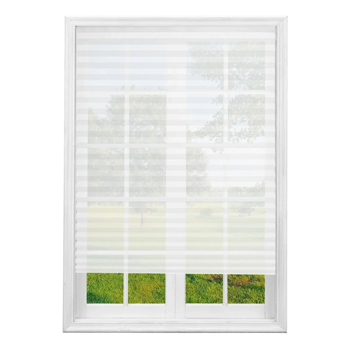 Pleated Window Blinds