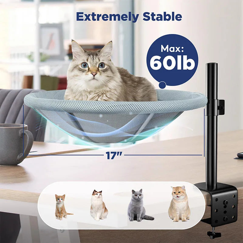 Rotating Cat Perch