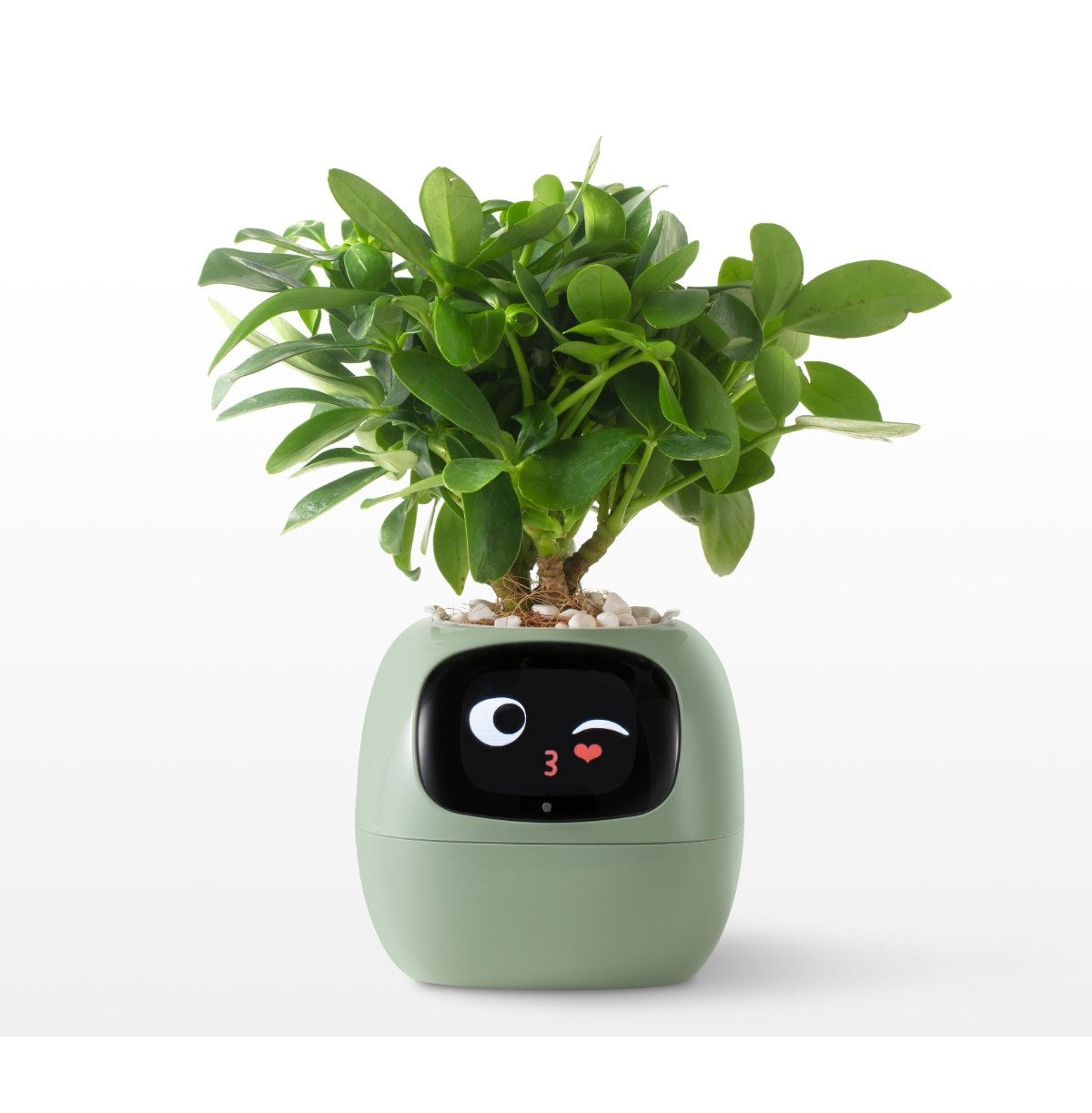 Smart AI Planter Pot – App-Controlled Self-Watering Planter