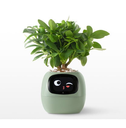 Smart AI Planter Pot – App-Controlled Self-Watering Planter